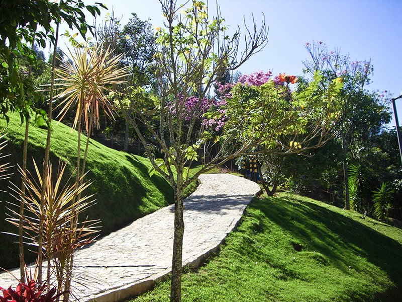 Floresta Viva